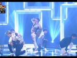 SHINHWA - This Love, 신화 - 디스 러브, Show Champion 20130703