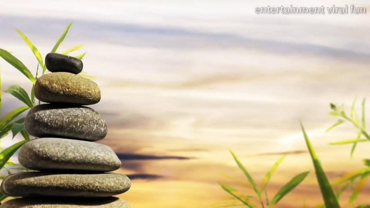 WhatsApp Status Video - Positive Thoughts About Life  Motivational Lines 