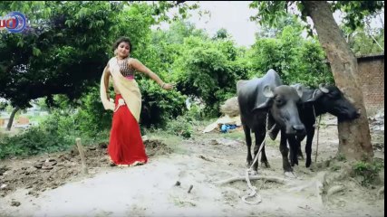 Bhojpuri Song and dance in nice baby