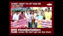 Mass Protests In Tamil Nadu Demanding Jallikattu During Pongal festival