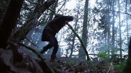 DVD ZOO S2 extrait 4