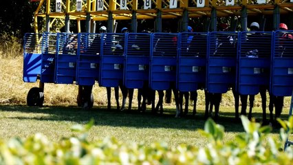 Déferrage, oeillères et bouchons. Tout comprendre pour bien parier