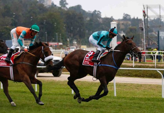 La carrière du cheval de course