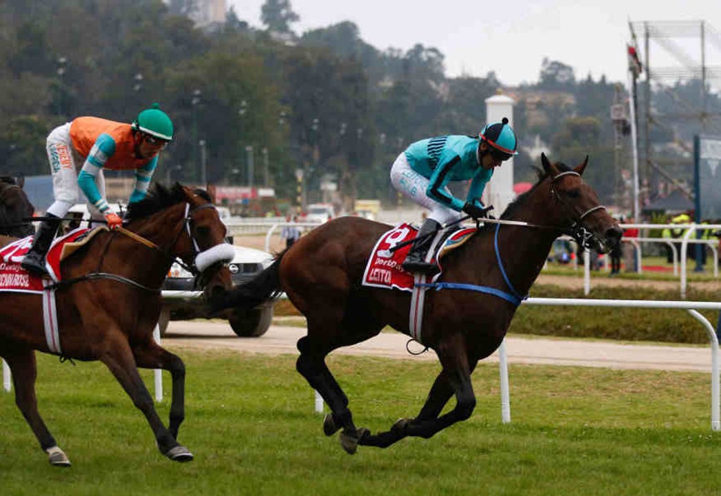 La carrière du cheval de course