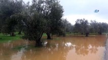 Körfezde sağanak yağış hayatı olumsuz etkiliyor