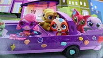 LPS Pet LIMO Limousine Hot Tub Car Littlest Pet Shop Ride with Friends My Little Pony Shopkins Fun