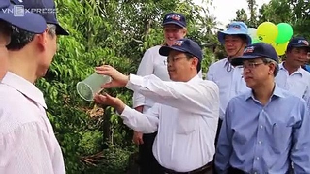 Hơn 30.000 con muỗi diệt sốt xuất huyết được thả ra đất liền