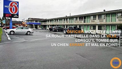 Ce que cet Officier de police fait à ce chien errant et mourant va sûrement vous surprendre ..