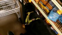 Hank and Brutus Go Grocery Shopping