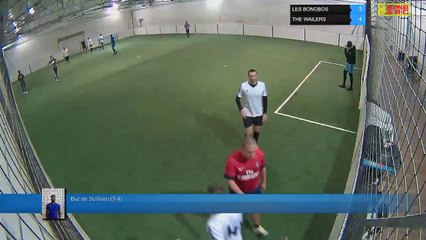 But de Sullivan (3-4) - LES BONOBOS Vs THE WAILERS - 05/03/18 20:00 - LIGUE 1 - Poitiers Game Parc
