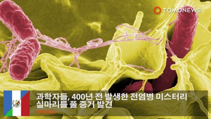 과학자들, 400년 전 발생한 전염병 미스터리 실마리를 풀 증거 발견