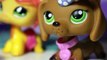 LPS: My Beautiful Nightmare Eps. 8 (Even Angels Apologize)