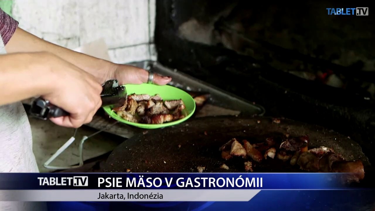 AKTIVISTI: Mäso zo psa do gastronómie nepatrí, v Indonézii si myslia opak