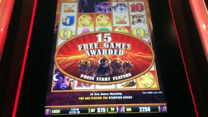 BUFFALO STAMPEDE AMAZING 61 FREE SPIN BONUS! CHASING A $66,000 MAJOR!