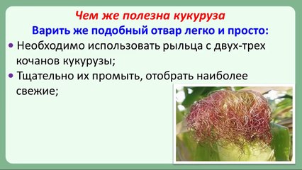 Чем полезна кукуруза при диабете