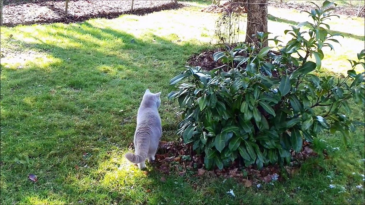 Nelson en ballade 03