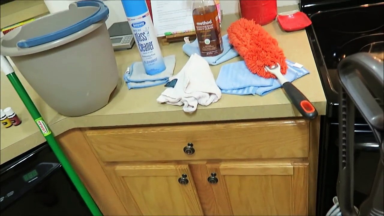 Cleaning the Whole House! | Clean with Me | Shellys Home Life