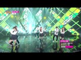 [Comeback Stage] Shannon - Why Why, 샤넌 - 왜요 왜요, Music Core 201503014