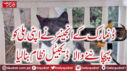 Denmark's engineer created his own digital system For Cat