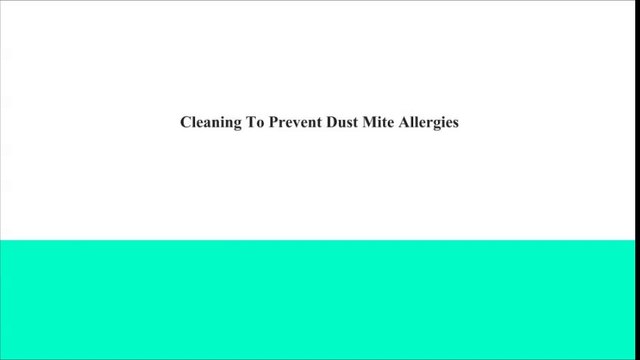 Cleaning To Prevent Dust Mite Allergies - extrememaids