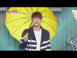 [HOT] JJCC (feat. Lee jine) - On the Flower Bed, JJCC (feat. 이진이) - 꽃밭에서, Show Music core 20150418