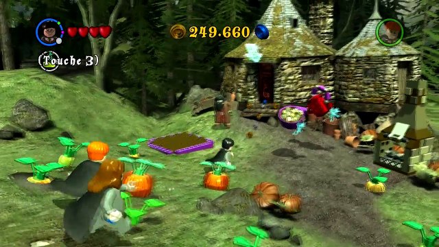 [Série] 5 - La Forêt Interdite | LEGO Harry Potter: Années 1 à 4