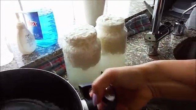 МОЛОЧНЫЙ, КЕФИРНЫЙ ГРИБ И КАК СДЕЛАТь ДОМАШНИЙ ТВОРОГ (ПРОБИОТИК)