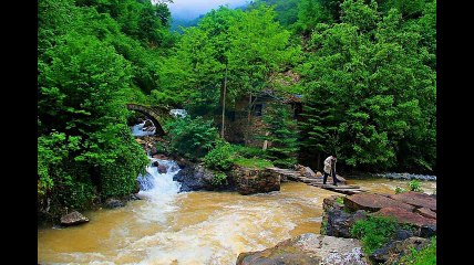 Yomra Çamlıyurt Köyü