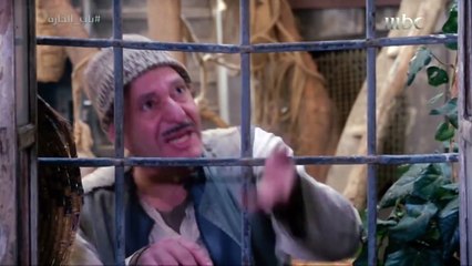 النمس ينتحر بعد ضياع فرحة منه !
