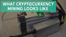Cryptocurrency: This is what Bitcoin mining looks like