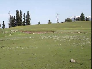 Heaven on Earth - Gulmarg, Kashmir