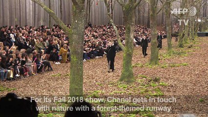 Chanel's Lagerfeld takes Paris fashion on a walk in the woods