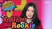 [Comeback Stage] RED VELVET - Rookie, 레드벨벳 - 루키 Show Music core 20170204