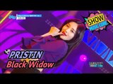 [HOT] PRISTIN - Black Widow, 프리스틴 - 블랙 위도우 Show Music core 20170520