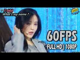 60FPS 1080P | T-ARA - What's my name?, 티아라 - 내 이름은 Show Music Core 20170617
