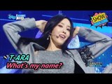 [Comeback Stage] T-ARA - What's my name?, 티아라 - 내 이름은 Show Music core 20170617