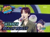 [HOT] WINNER - REALLY REALLY, 위너 - 릴리릴리 Show Music core 20170520