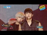 [Comeback Stage] HALO - HERE I AM, 헤일로 - 여기여기 Show Music core 20170708
