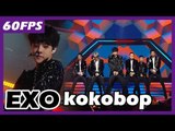60FPS 1080P | EXO - KoKoBop, 엑소 - 코코밥 @MBC Music Festival 20171231