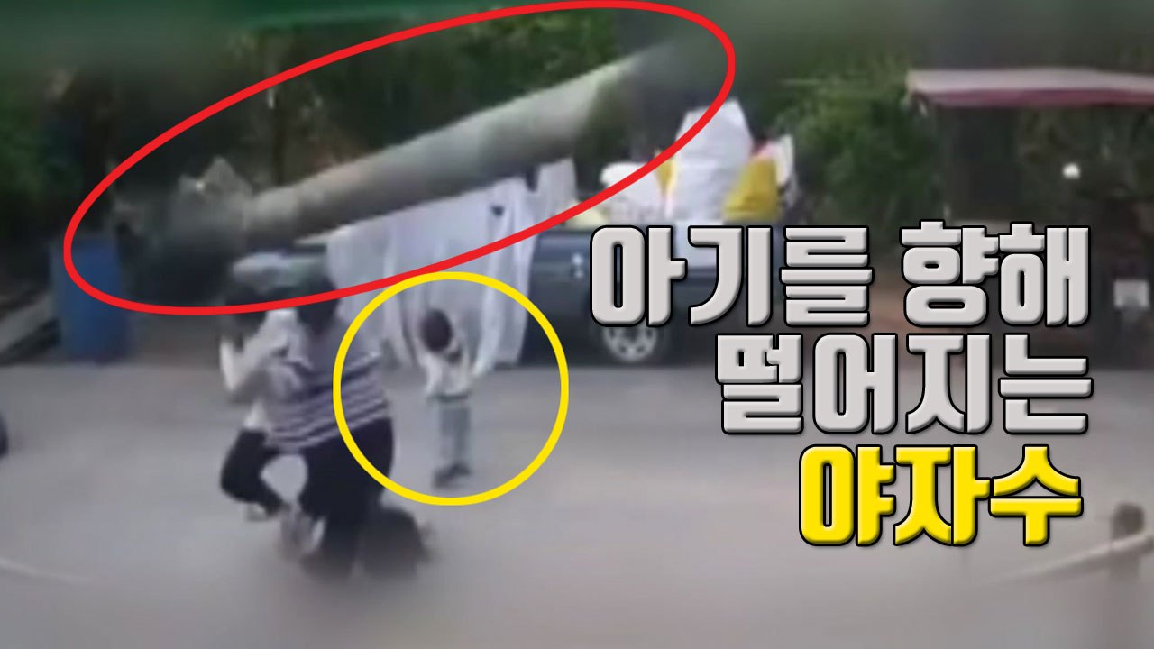[자막뉴스] 야자수가 아이 쪽으로...간발의 차로 목숨 구한 두 살배기 / YTN