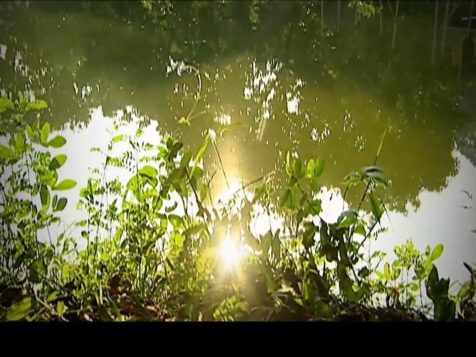 年代剧《娘》06主演 斯琴高娃 宋春丽 刘佳 杜源 徐秀林