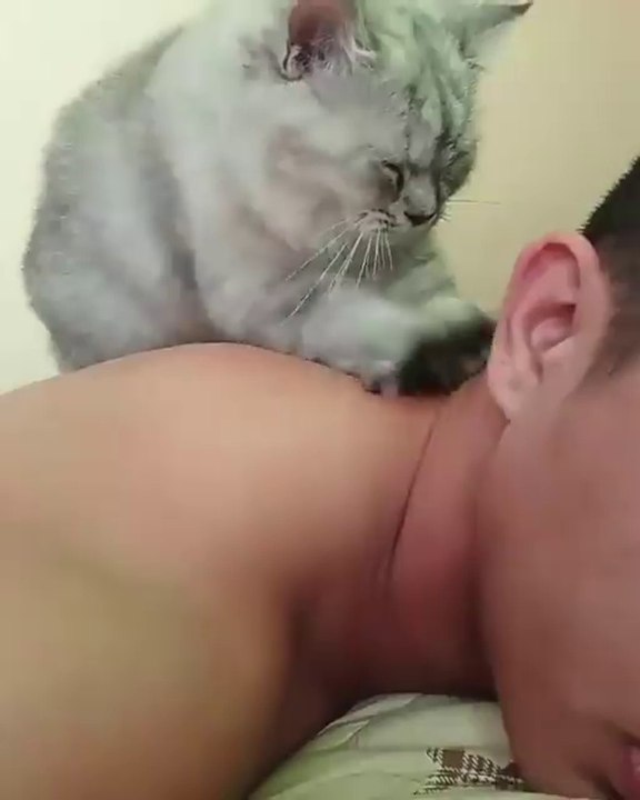 Les griffes de ce chat ne servent pas que pour se défendre