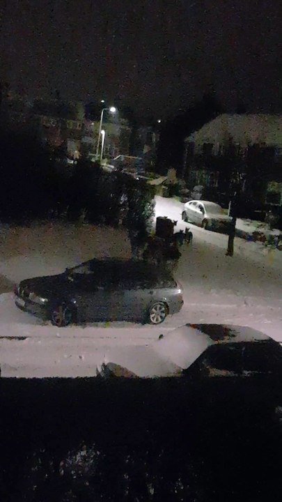 Midnight Deer Stroll