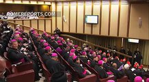 14 married couples will take part in the Synod of the Family | Vatican