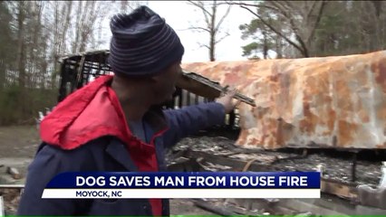 Puppy Saves Owner from Mobile Home Fire