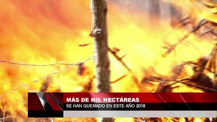 Mas de mil hectáreas se han quemado en este año 2018