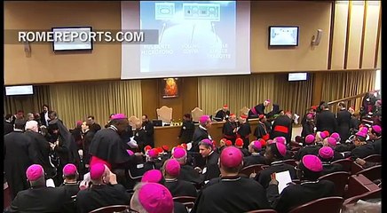 Pope calls bishops' synod to focus on family