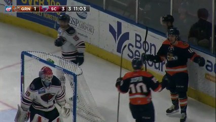 ECHL South Carolina Stingrays 3 at Greenville Swamp Rabbits 3