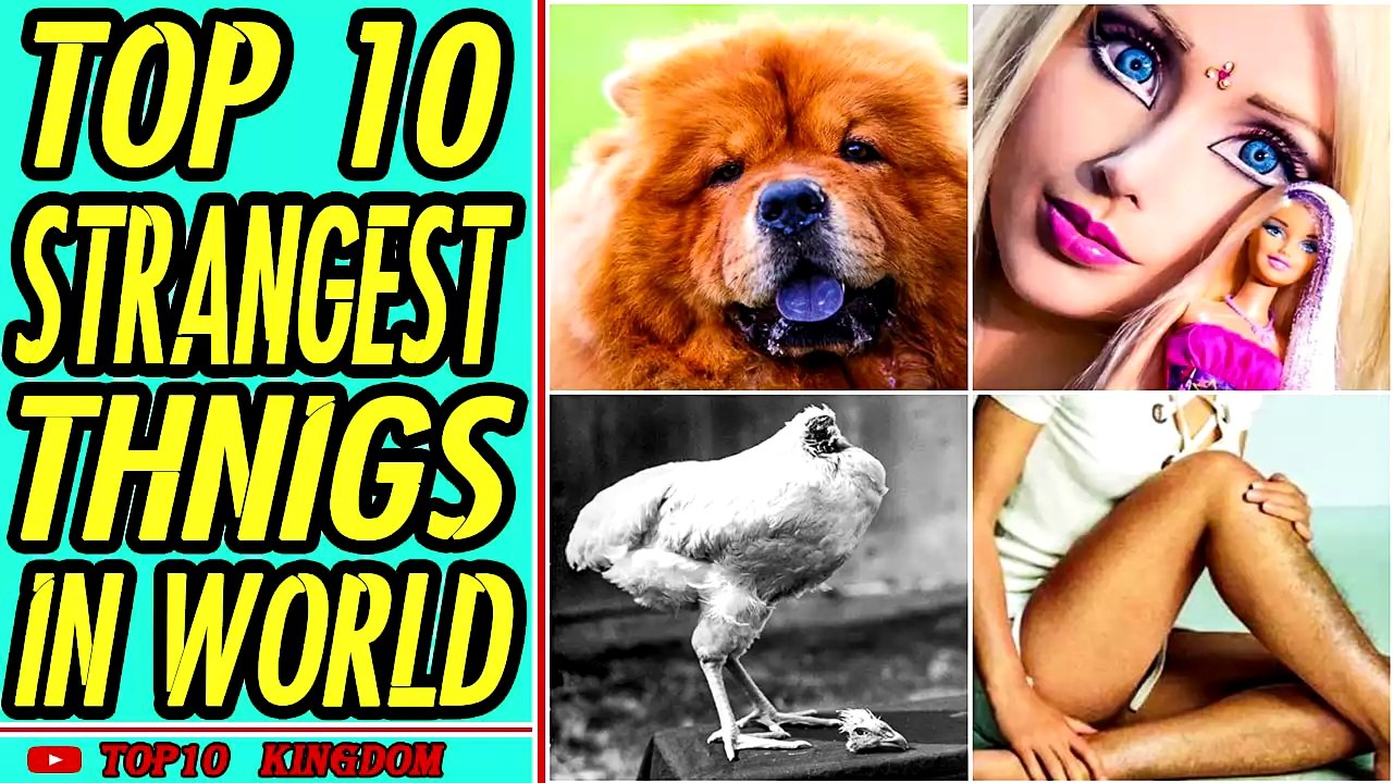 TOP 10 Strangest Things In The World