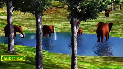 Learning Wild Animals for Children | Wild Animals Names and Sounds for Kids